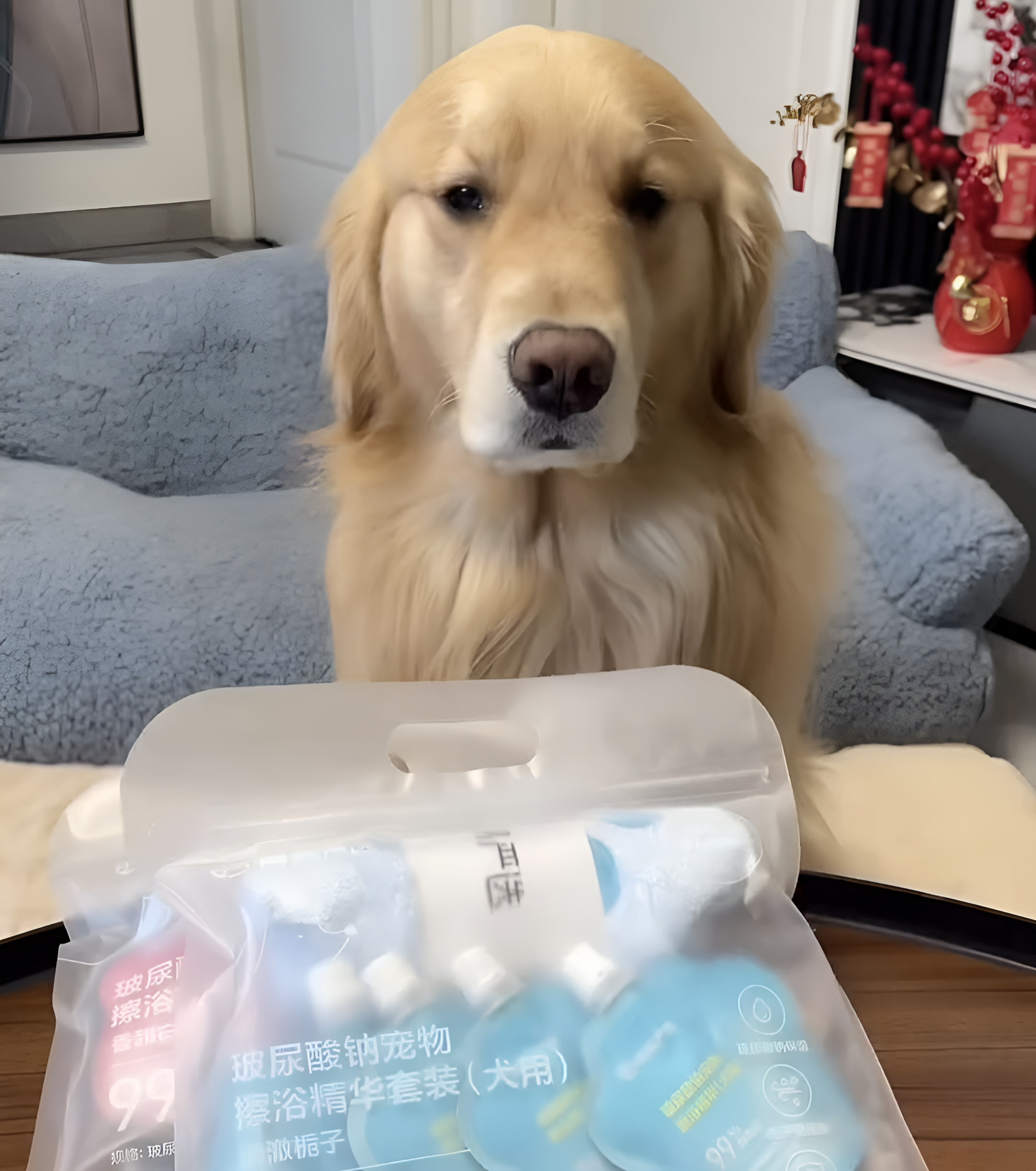 Paw Pet Gloves + Pet Shampoo - Happy Puppy Dream