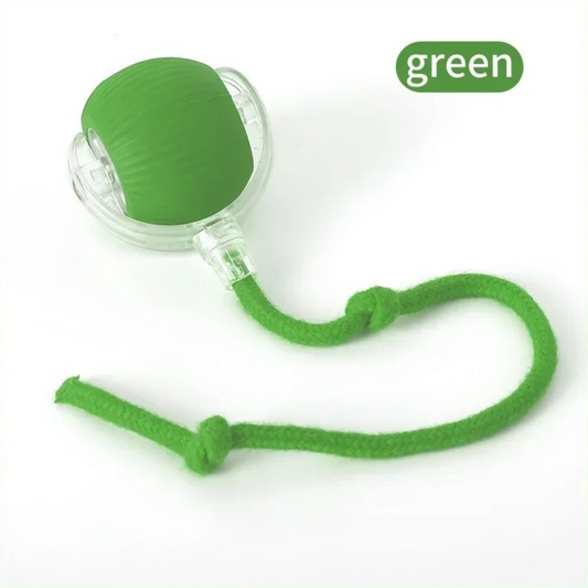 Interactive Rolling Ball - Happy Puppy Dream