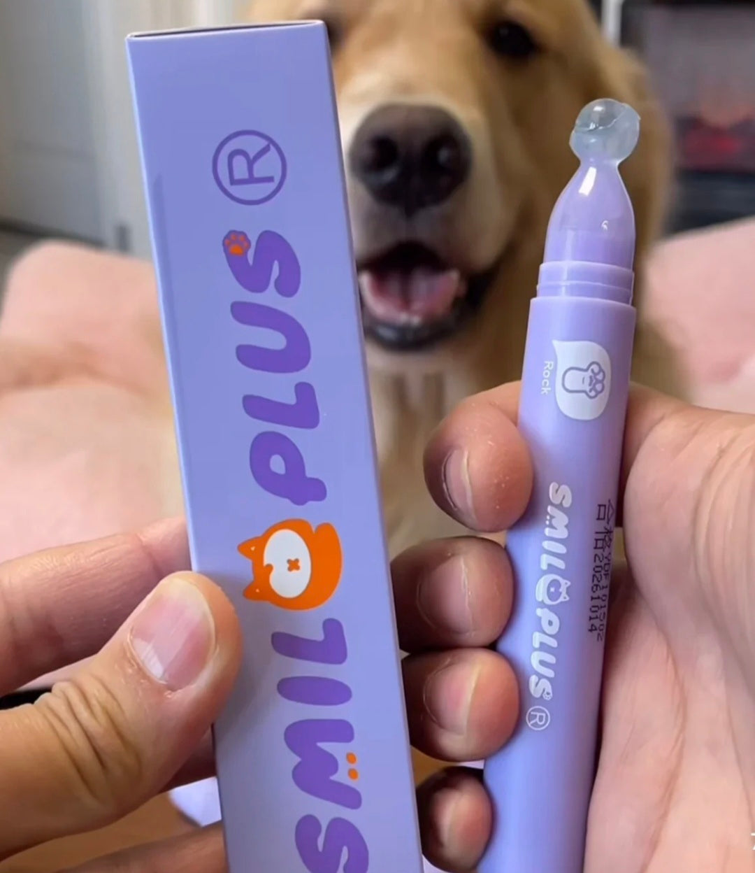 Pet Moisturizer Roller - Happy Puppy Dream