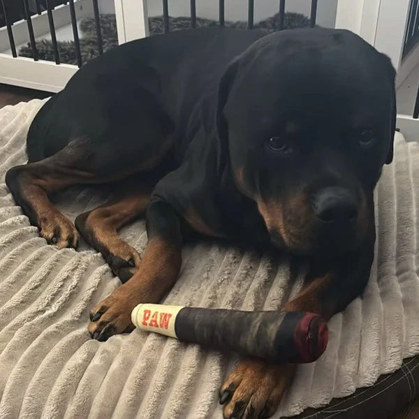 Interactive Joint Dog Toy - Happy Puppy Dream