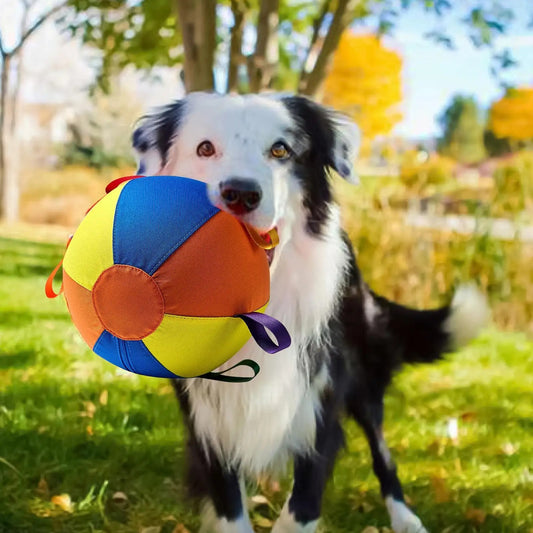 Balle géante pour chien