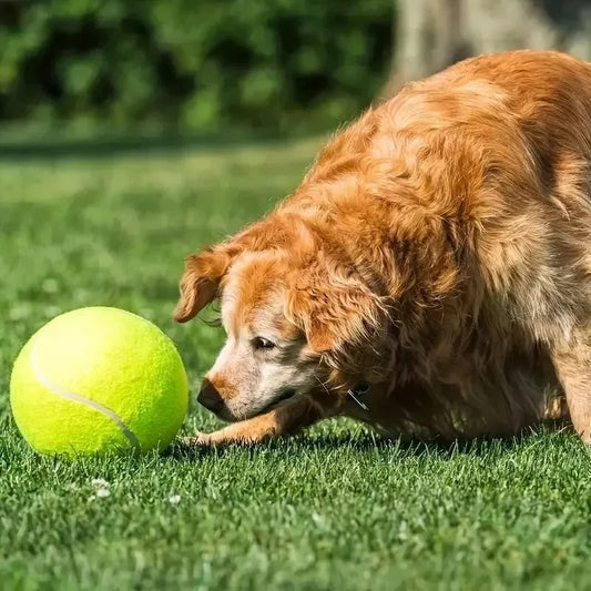 Giant Tennis Ball - Happy Puppy Dream