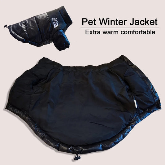 The Dog Face Winter Jacket - Happy Puppy Dream