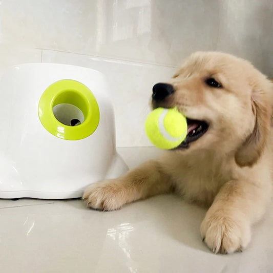 Tennis Ball Launcher - Happy Puppy Dream