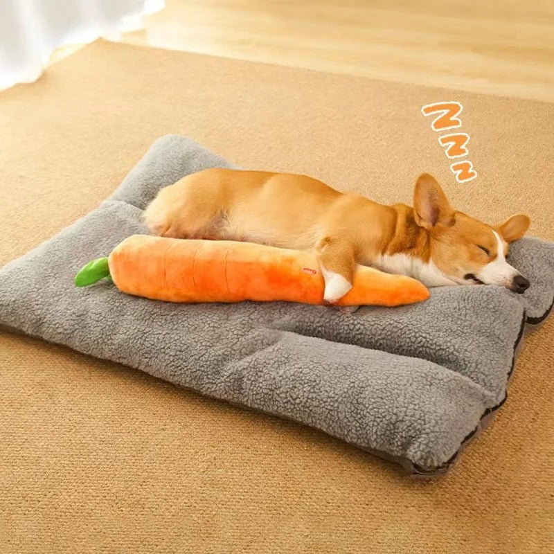 Plush Carrot Toy