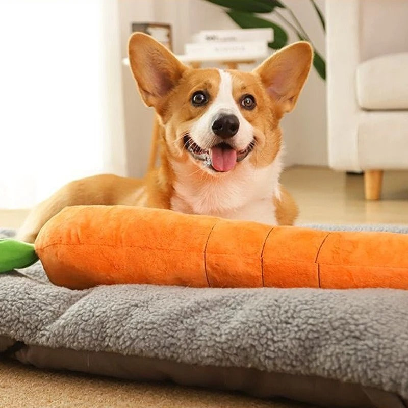 Plush Carrot Toy