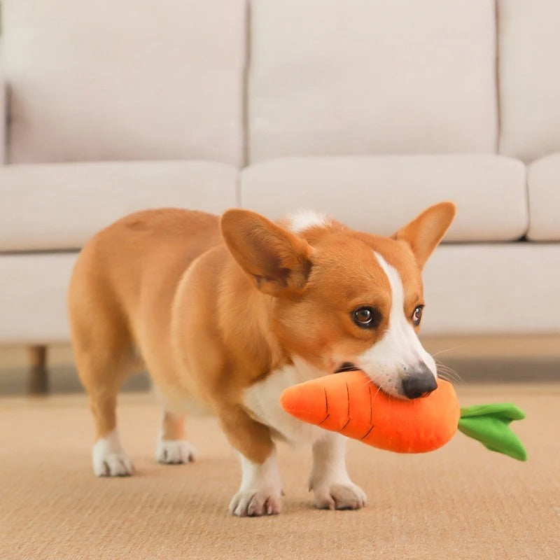 Plush Carrot Toy