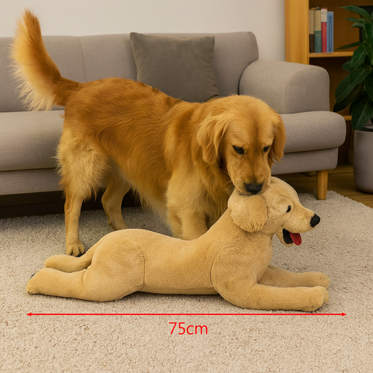 Plush Labrador Buddy