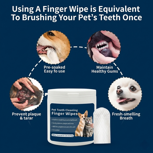 Lingettes dentaires pour animaux de compagnie