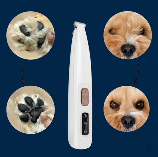 Tondeuse pour poils d'animaux
