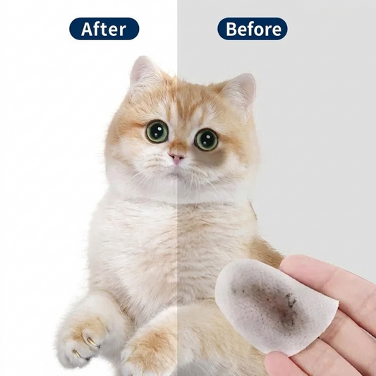 Lingettes oculaires pour animaux de compagnie