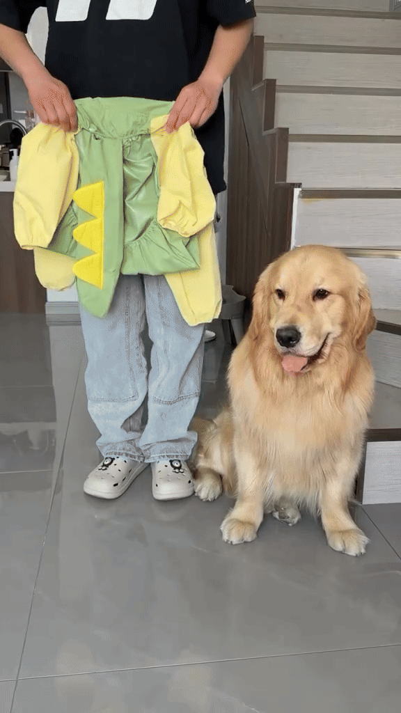 DinoRain Dog Raincoat