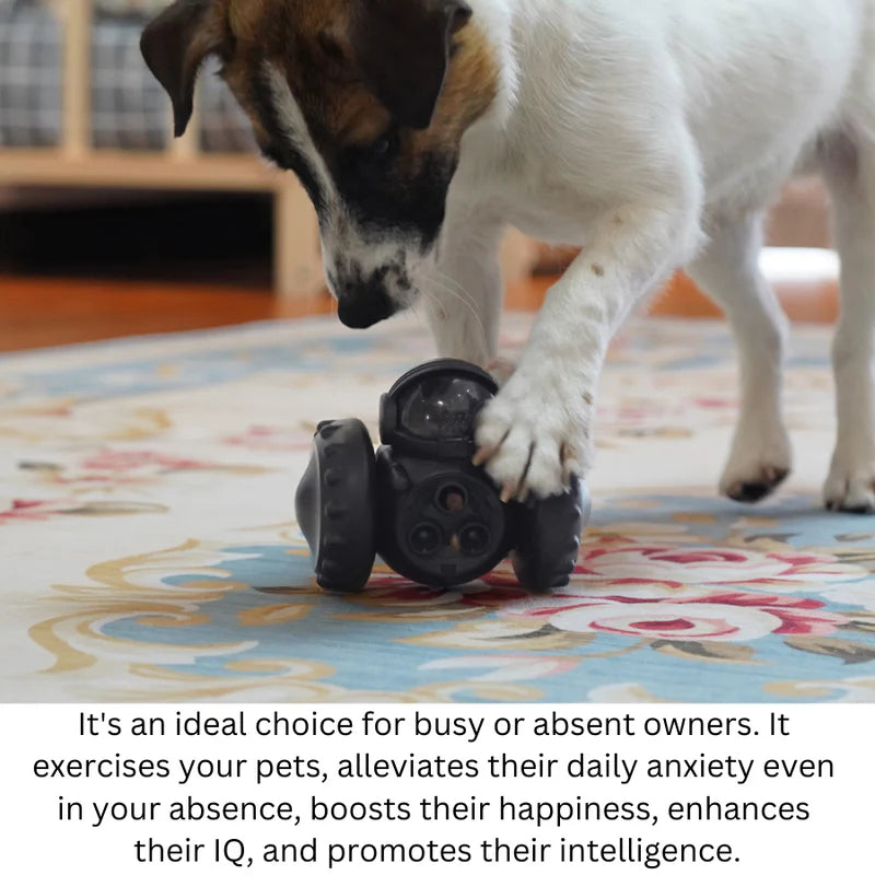 Pet Trainer - Happy Puppy Dream