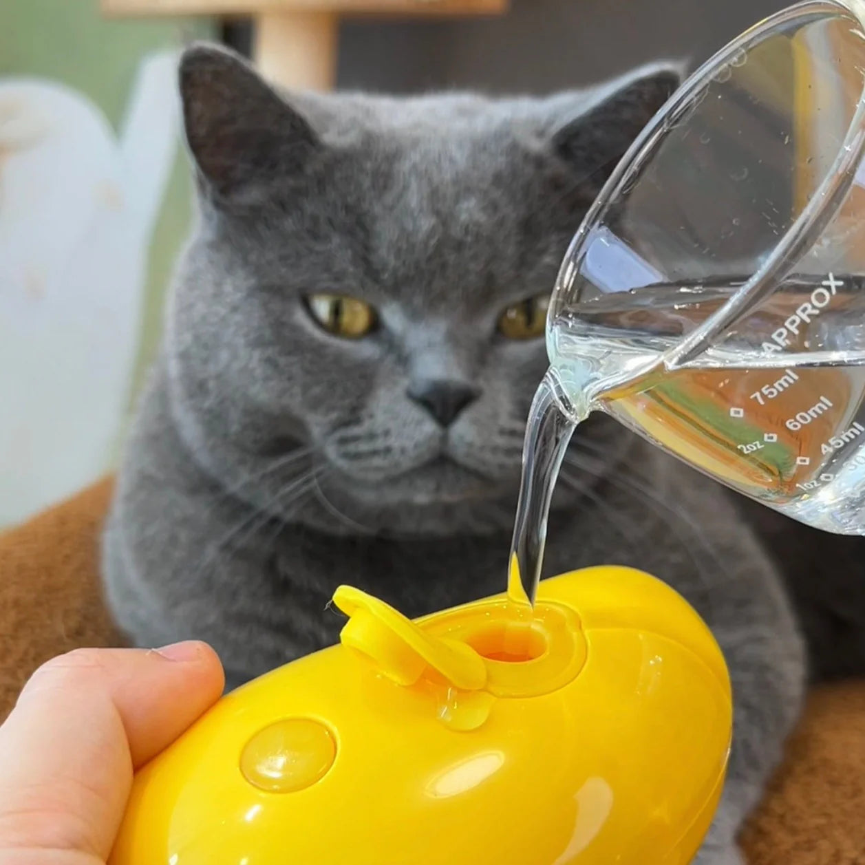 Cat Steamy Brush - Happy Puppy Dream