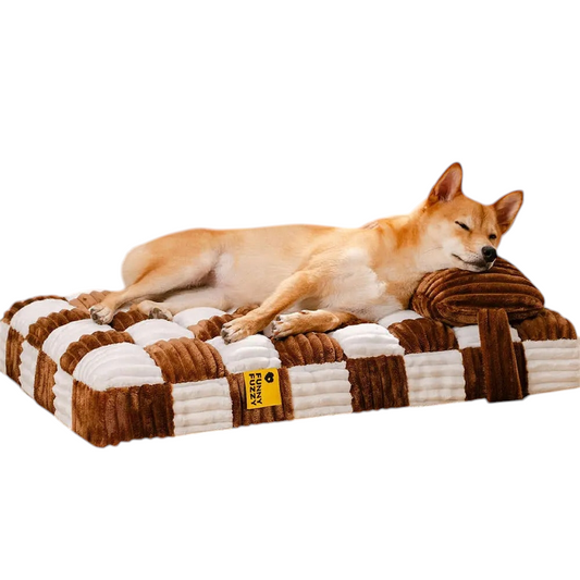 Orthopedic Dog Bed