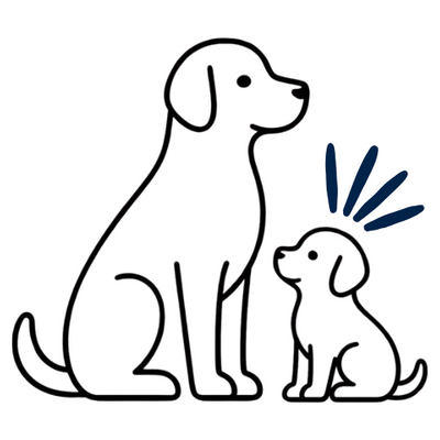 All Breeds & Sizes