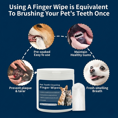 Lingettes dentaires pour animaux de compagnie