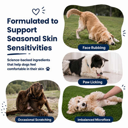 Allergy & Immune Bites For Dogs