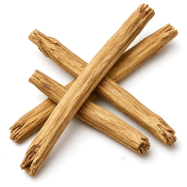 Astragalus Root